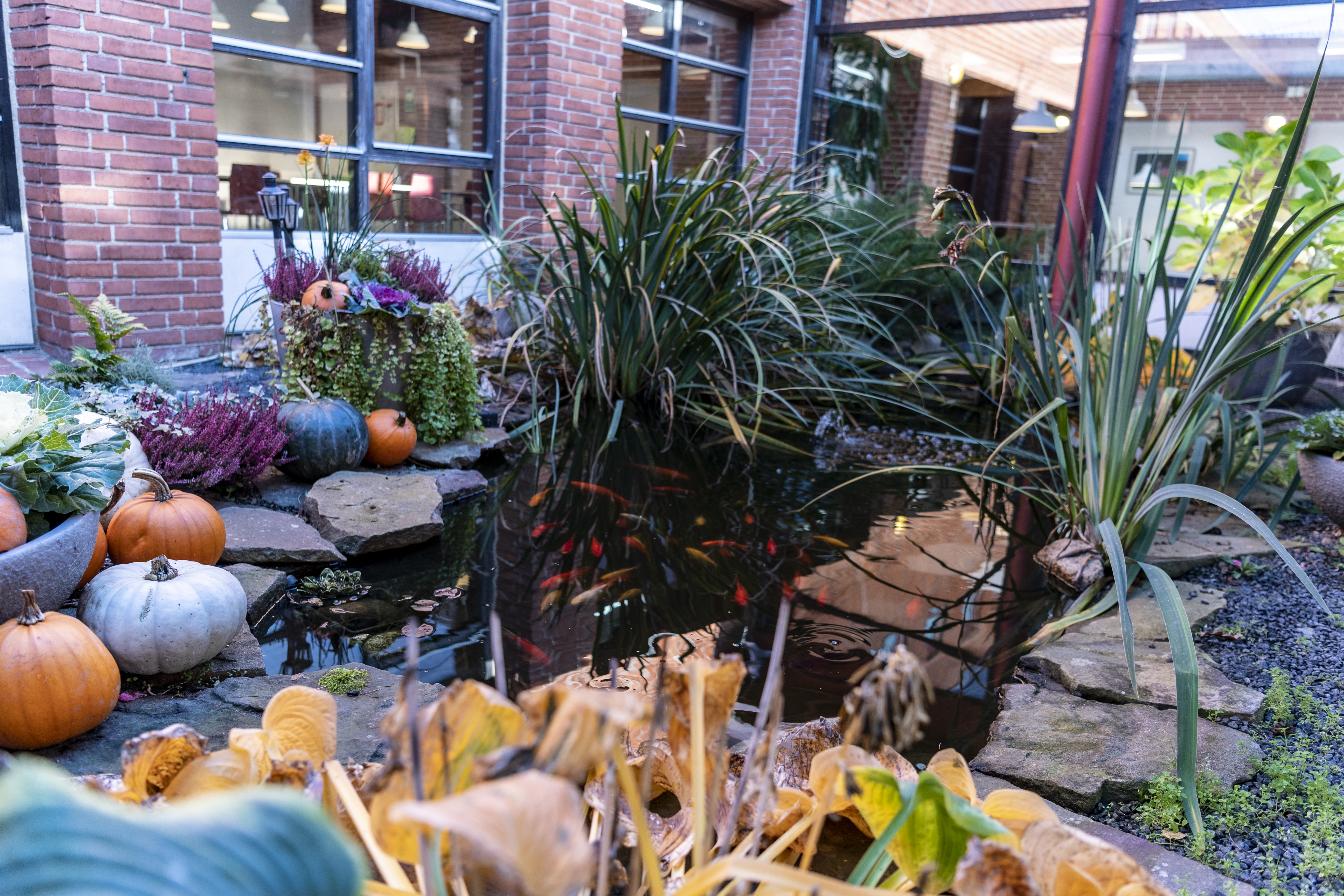 Udehave Ejegod. Foto: Kenneth Jensen.